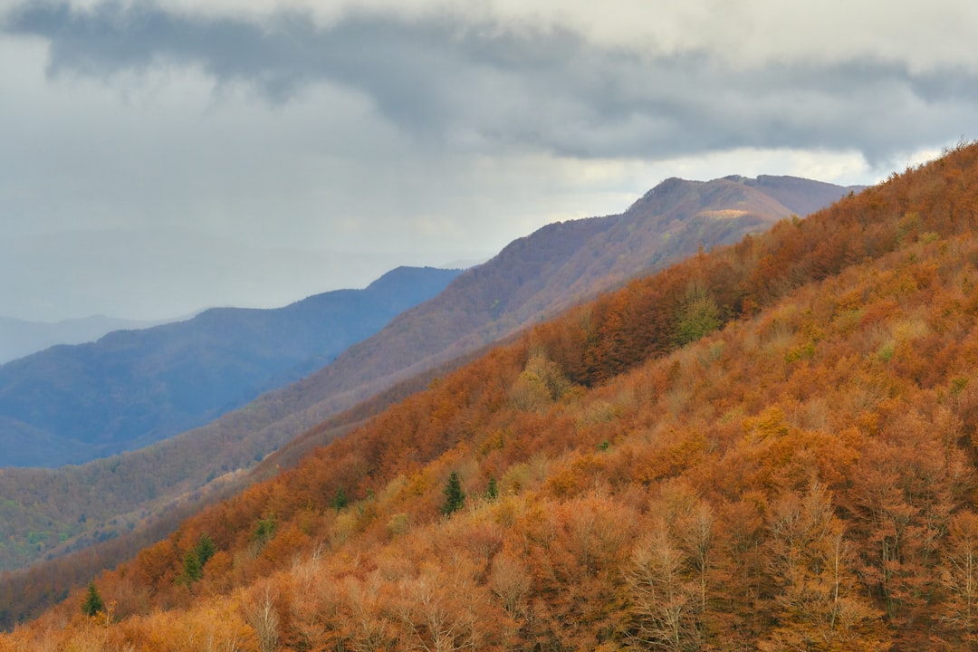 Riserva Naturale Orientata Alpe di Catenaia - Arezzo - Riserva Naturale Orientata Alpe di Catenaia - Arezzo