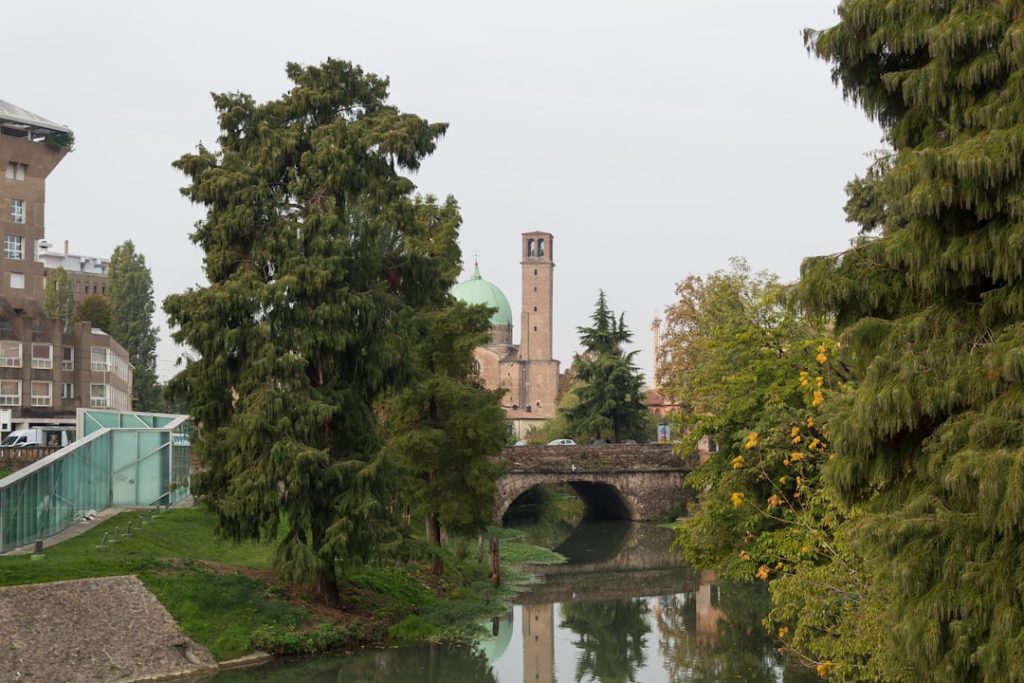 Riserva Naturale Orientata Colli Euganei - Padova - Riserva Naturale Orientata Colli Euganei - Padova