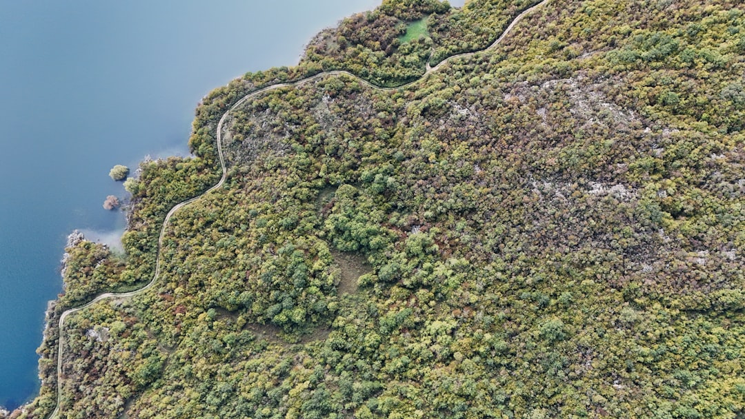 Riserva Naturale Orientata Isola Boschina - Mantova - Riserva Naturale Orientata Isola Boschina - Mantova