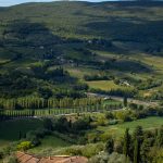 Riserva Naturale Orientata Lago di Montepulciano - Siena - Riserva Naturale Orientata Lago di Montepulciano - Siena