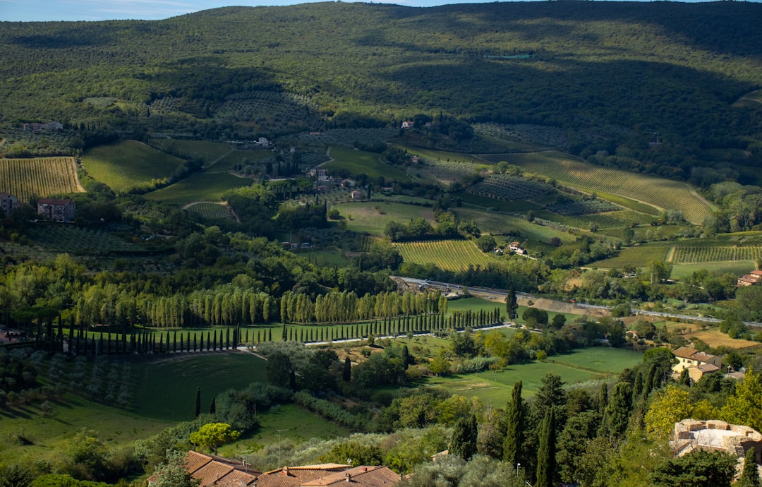 Riserva Naturale Orientata Lago di Montepulciano - Siena - Riserva Naturale Orientata Lago di Montepulciano - Siena
