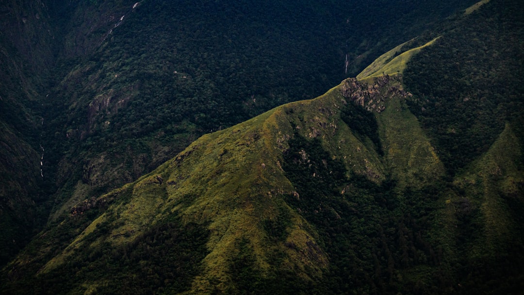 Riserva Naturale Orientata Monte Acquarone - Imperia - Riserva Naturale Orientata Monte Acquarone - Imperia