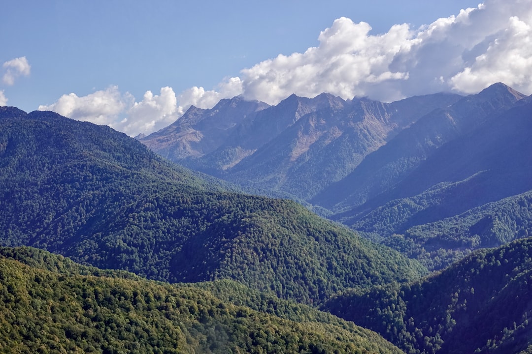 Riserva Naturale Orientata Monte Bondone - Trento - Riserva Naturale Orientata Monte Bondone - Trento