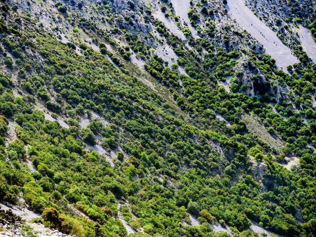 Riserva Naturale Orientata Salina di Punta della Contessa - Brindisi - Riserva Naturale Orientata Salina di Punta della Contessa - Brindisi
