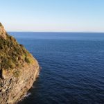 Riserva Naturale Orientata Scoglietto di Portoferraio - Livorno - Riserva Naturale Orientata Scoglietto di Portoferraio - Livorno