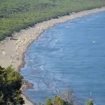 Riserva Naturale Orientata Tomboli di Follonica - Grosseto - Riserva Naturale Orientata Tomboli di Follonica - Grosseto