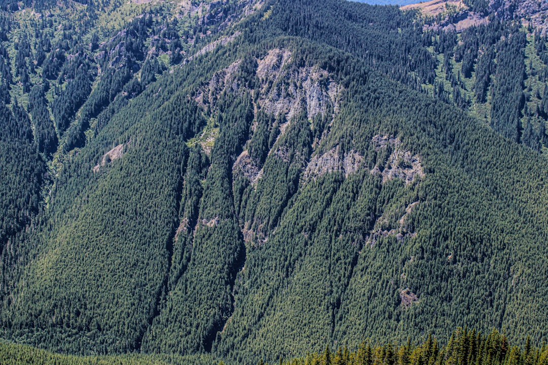 Riserva Naturale Orientata Val Rendena - Trento - Riserva Naturale Orientata Val Rendena - Trento