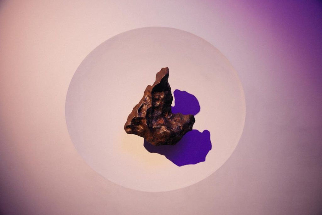 Sagra del Carciofo di Cerda: Degustazioni, Mostra e Fiera del Carciofo Violetto -