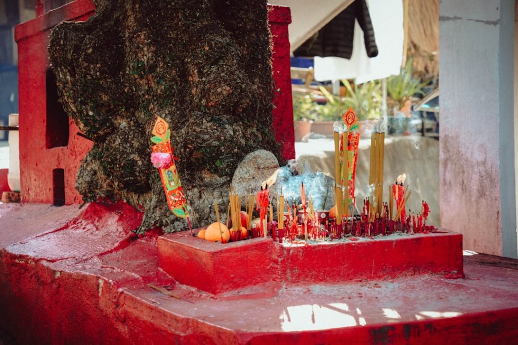 Sagra della Cipolla Rossa di Acquaviva Platani: Degustazioni, Mostra e Eventi Gastronomici -