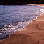 San Lorenzo - San Lorenzo