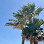 San Vito Lo Capo - San Vito Lo Capo