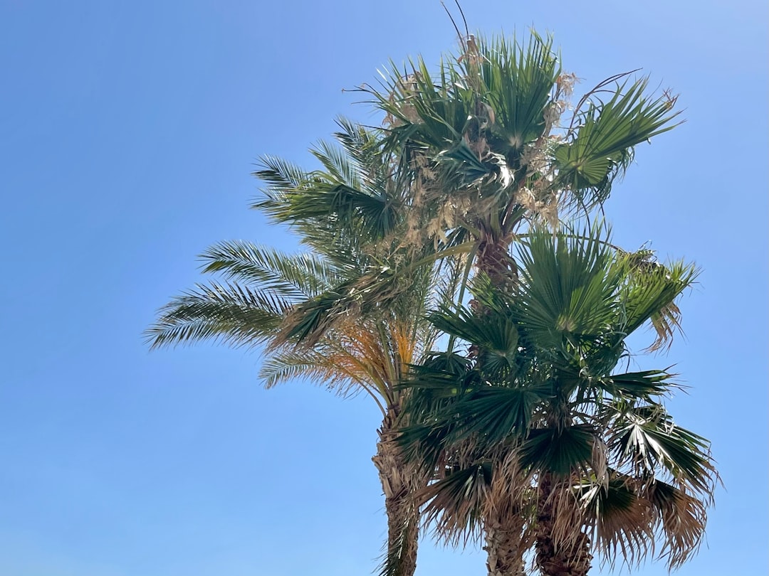 San Vito Lo Capo - San Vito Lo Capo