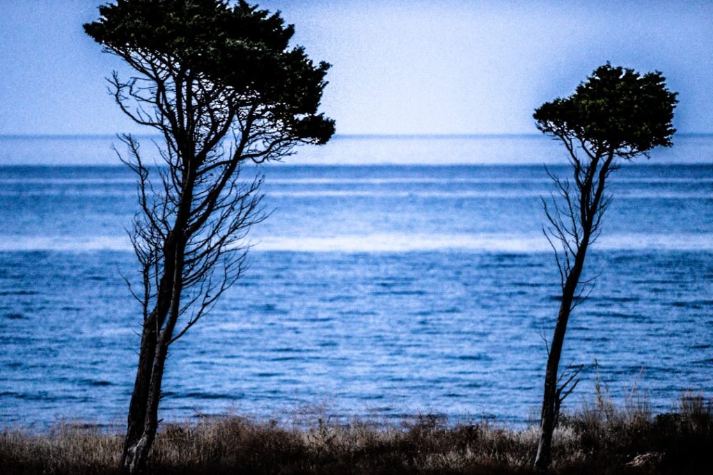 Sant'Andrea Apostolo dello Ionio - Sant'Andrea Apostolo dello Ionio