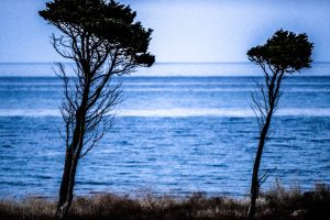 Sant'Andrea Apostolo dello Ionio - Sant'Andrea Apostolo dello Ionio