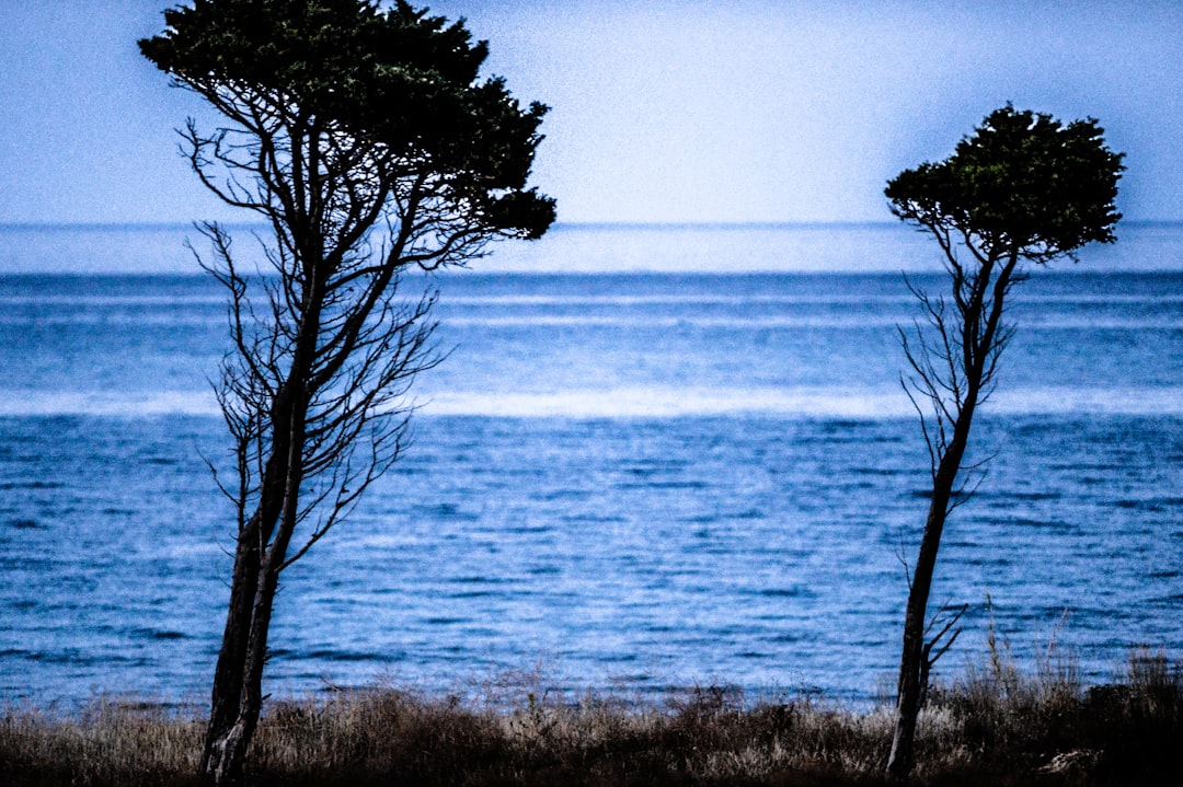 Sant'Andrea Apostolo dello Ionio - Sant'Andrea Apostolo dello Ionio