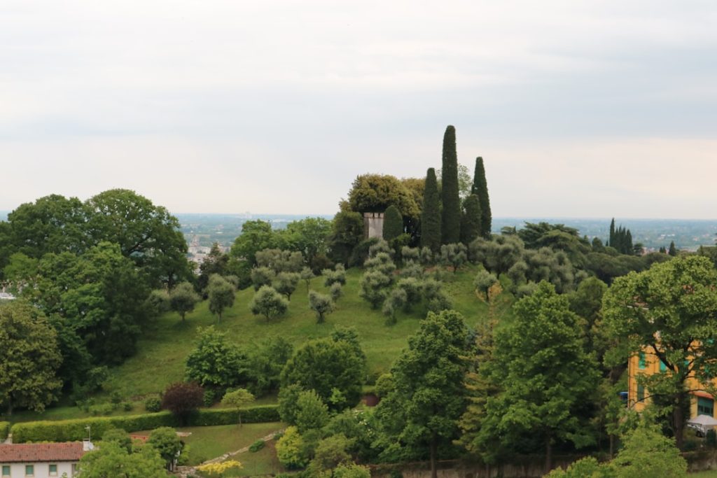 Santuario della Madonna di Monte Berico - Vicenza - Santuario della Madonna di Monte Berico - Vicenza