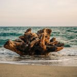 Sellia Marina - Sellia Marina