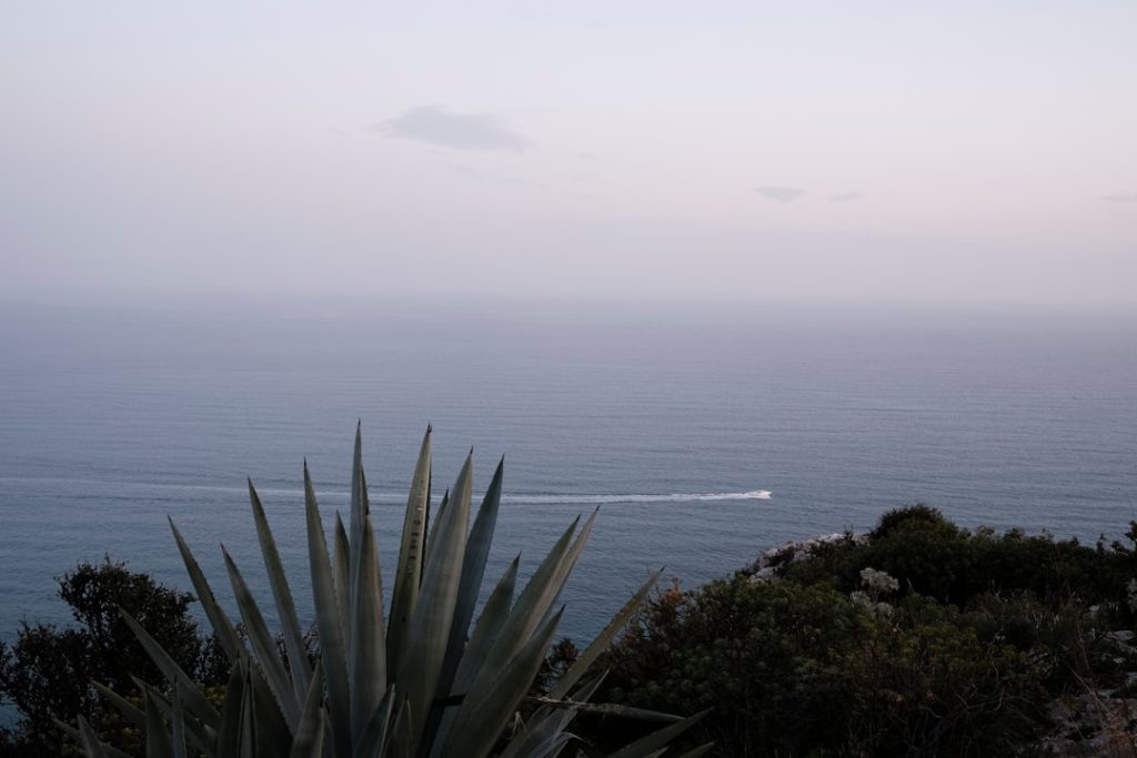 Sud Sardegna: Guida Turistica, Cosa Vedere e Mappa 2026 -