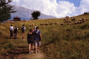 Trekking nel Parco d'Abruzzo: itinerari per avvistare l'orso bruno marsicano. - Trekking nel Parco d'Abruzzo: itinerari per avvistare l'orso bruno marsicano.