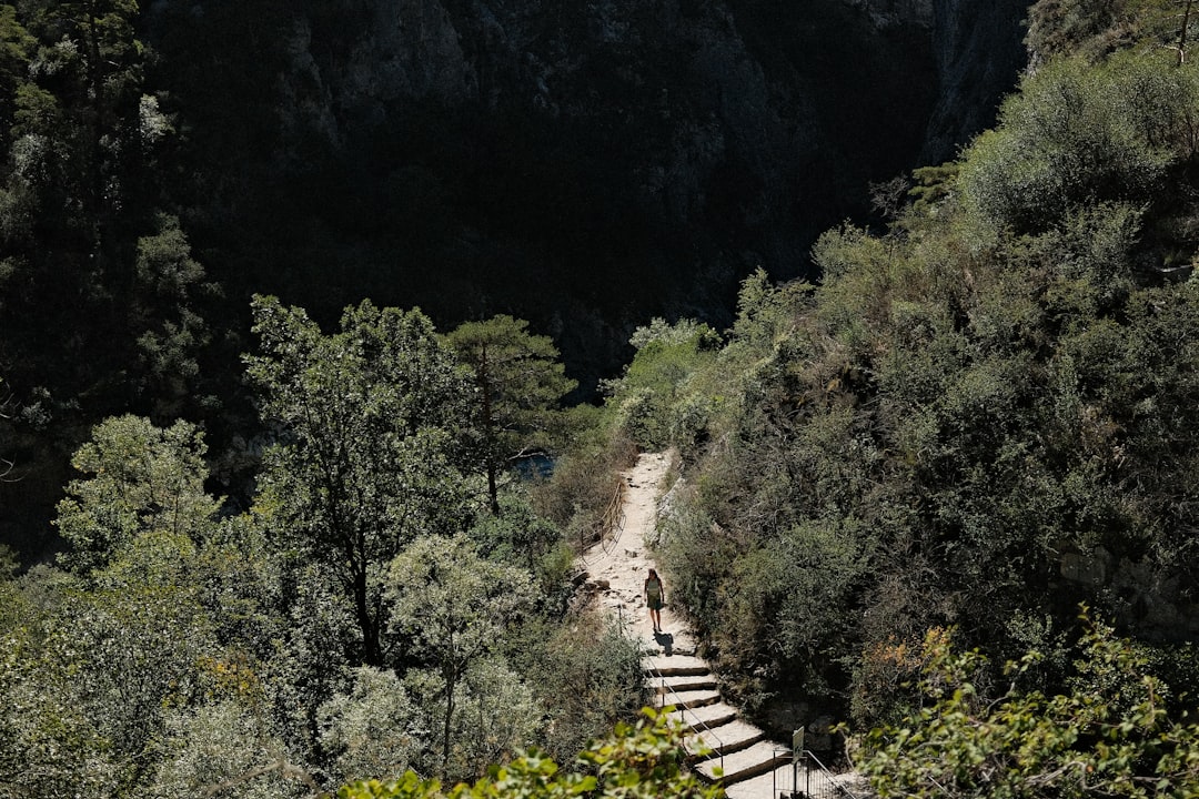 Trekking (Sentiero Francescano della Pace, Cammino di Assisi, Sentieri dei Parchi) 2026 -
