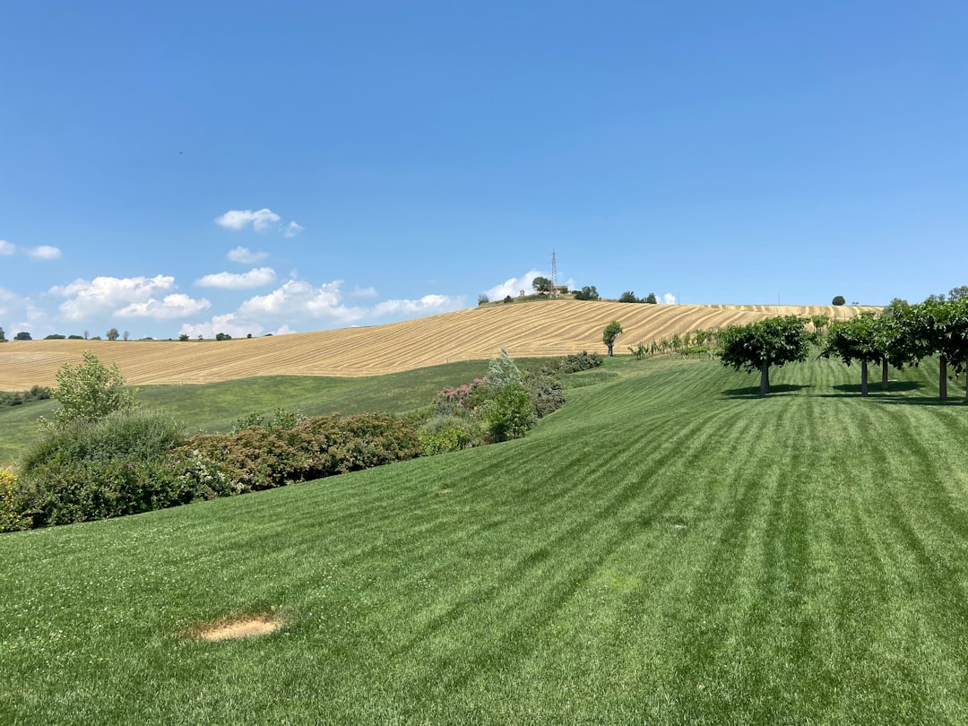 Urbisaglia - Urbisaglia