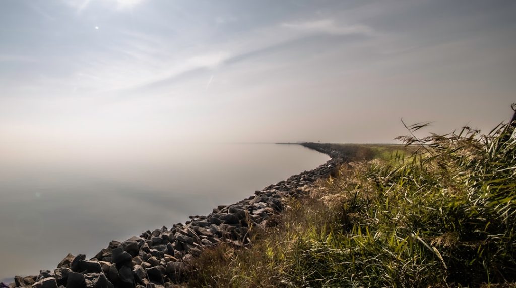 Valli di Comacchio -