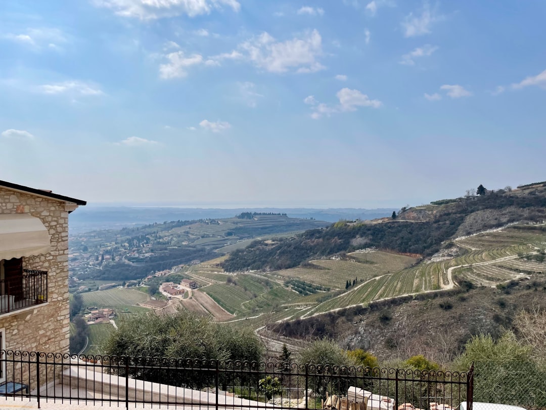 Valpolicella -