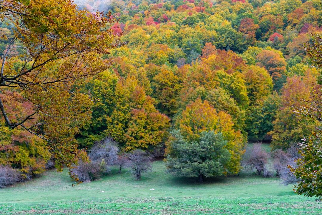 Villavallelonga - Villavallelonga